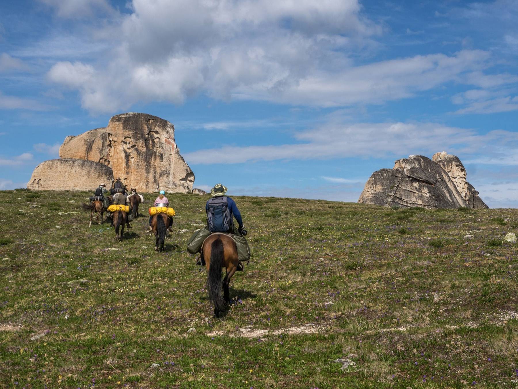 ООО "КОТИК-ТУР" - фото 1