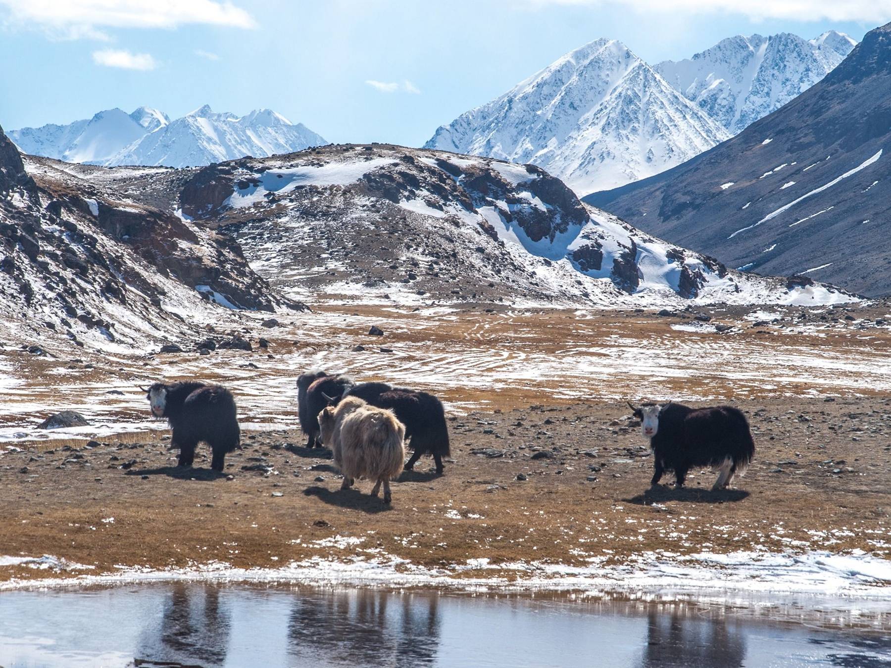 ООО "КОТИК-ТУР" - фото 4