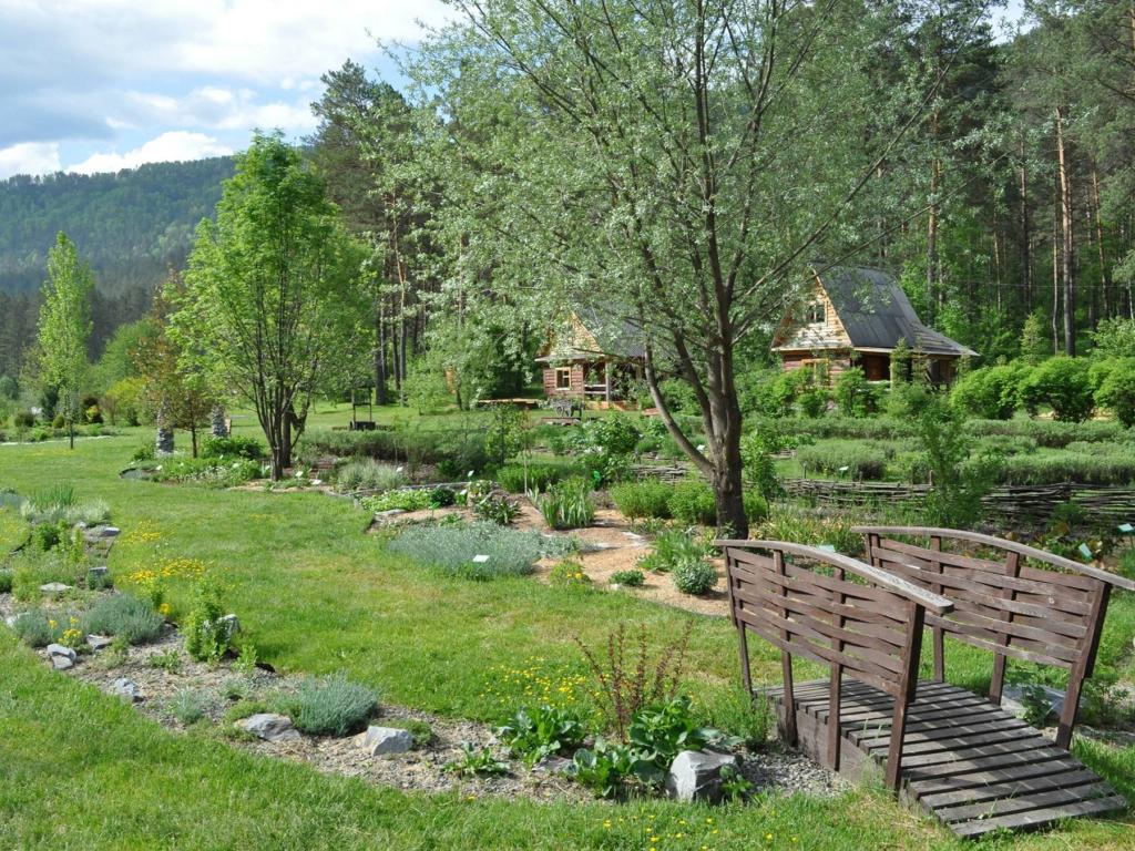 Ботанический сад - фото 5