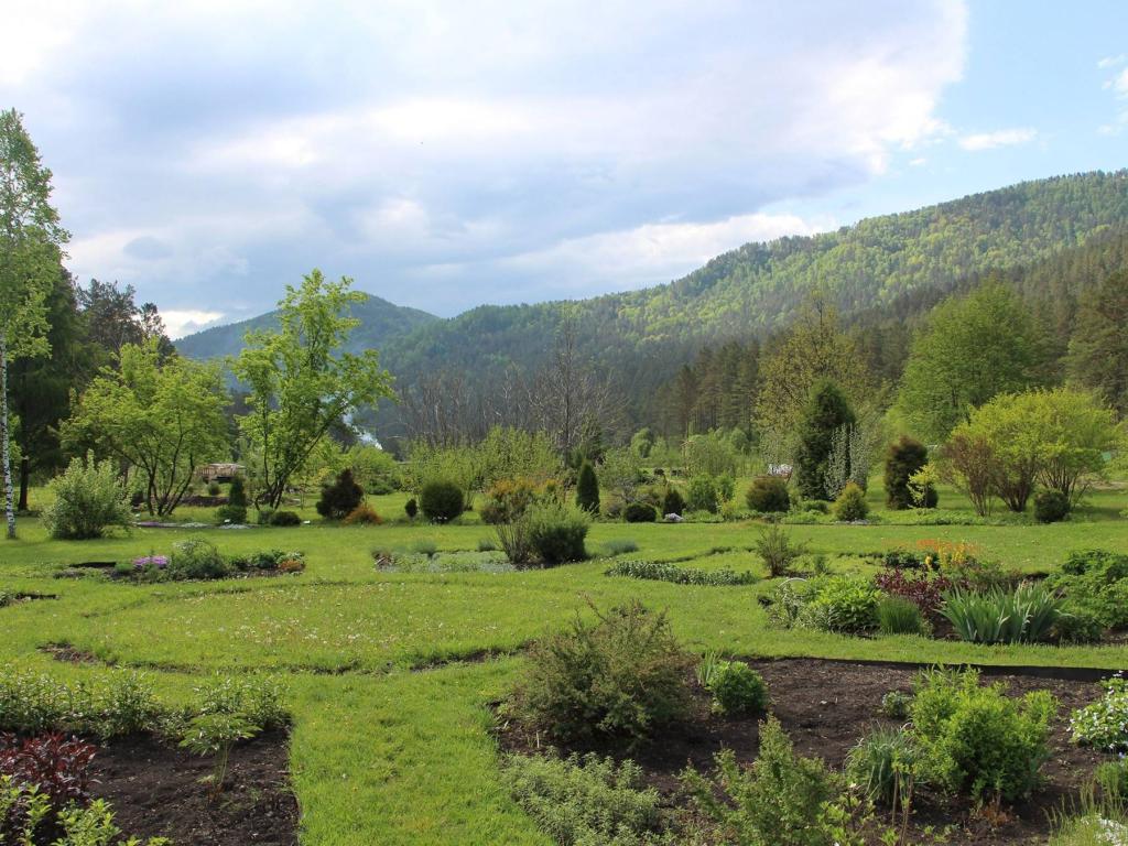 Ботанический сад - фото 7