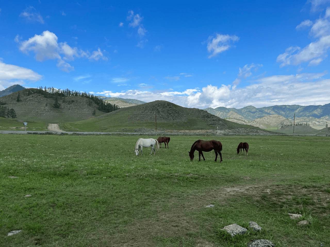 Гостиница "Уч-Энмек" - фото 5