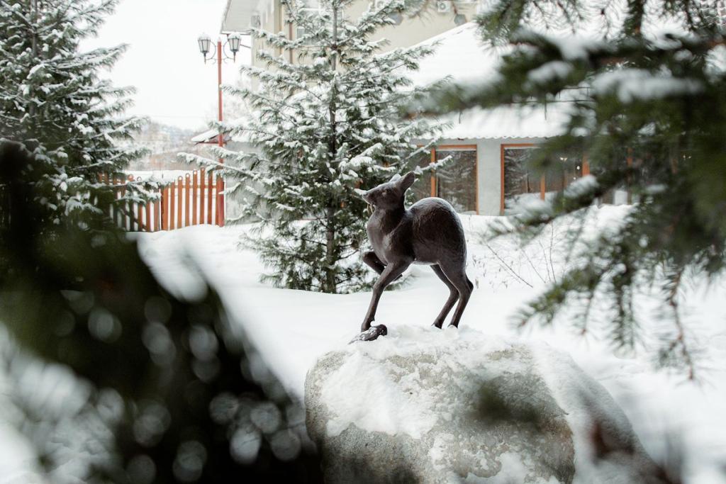 Что посмотреть в Горно-Алтайске - фото 8