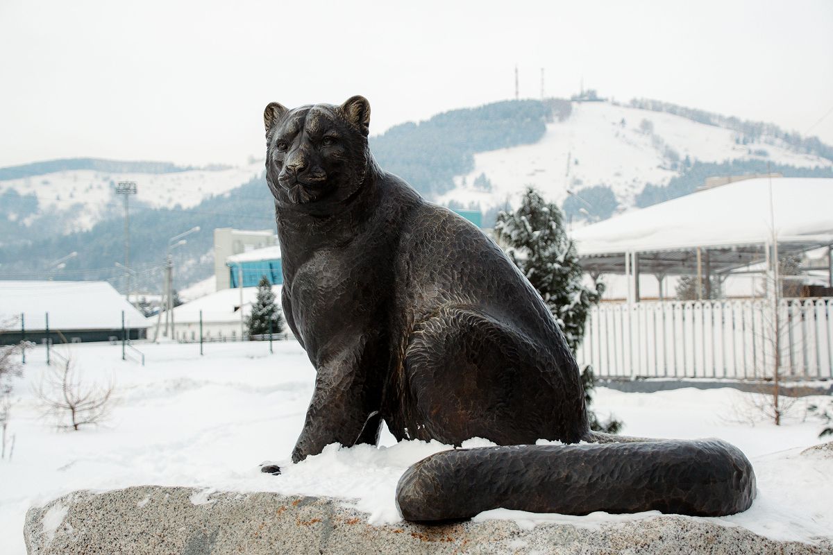 Что посмотреть в Горно-Алтайске - фото 1