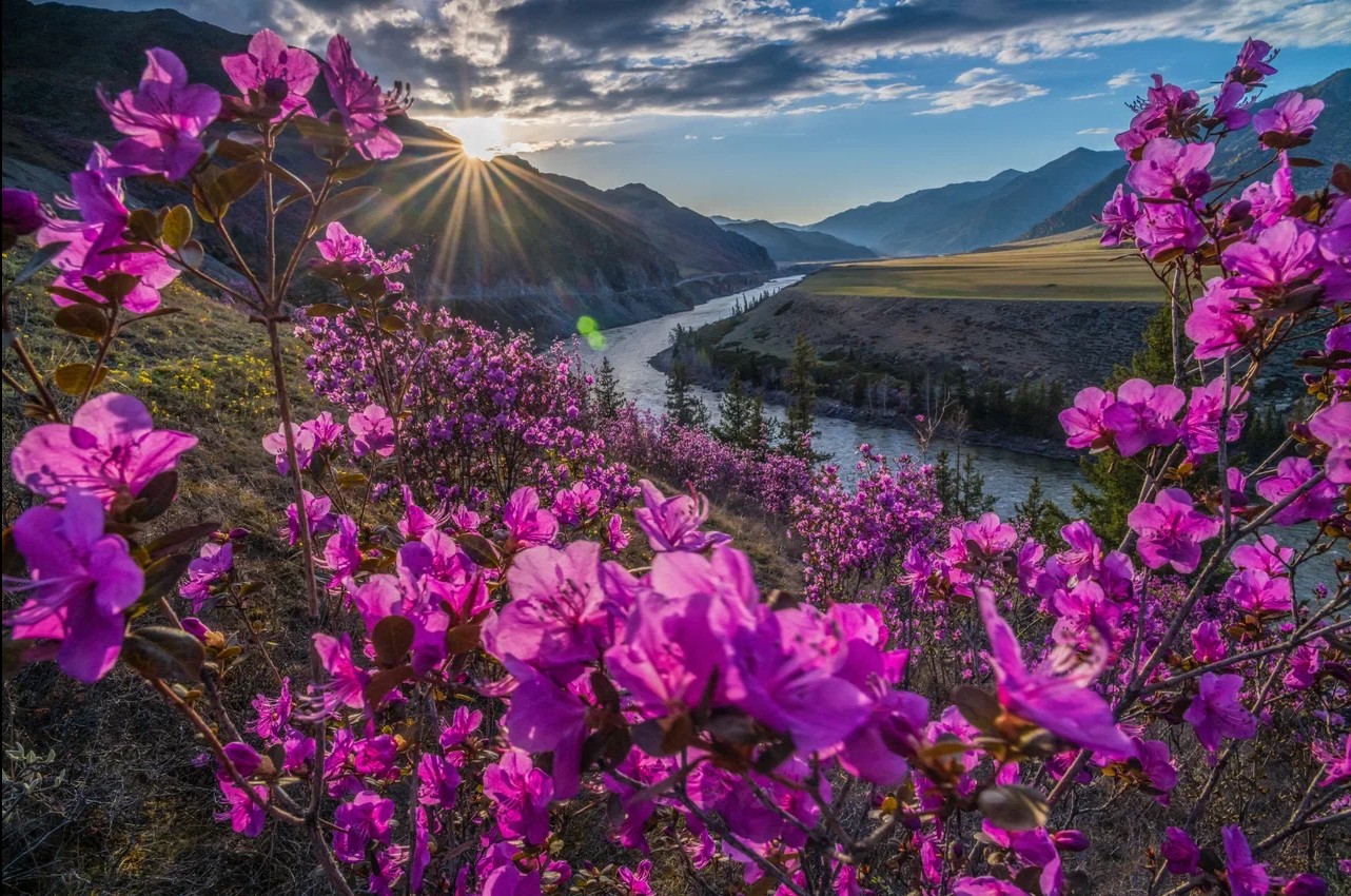 Фестиваль «Чике-Таманская весна» - фото 3