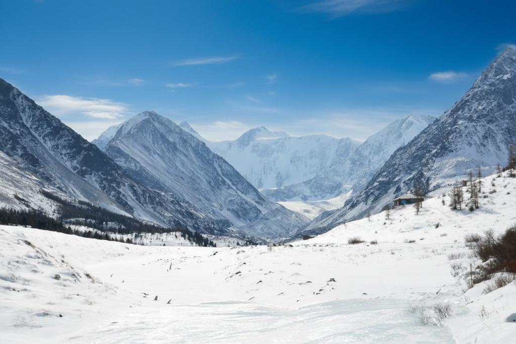 На снегоходах к Белухе — фото тура по Республике Алтай. Фото 8