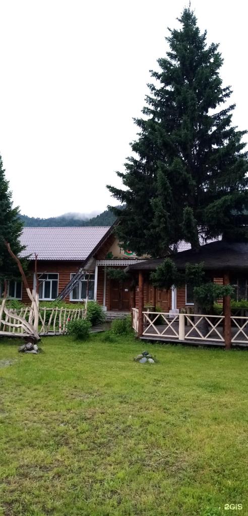 Лисья нора - фото 7