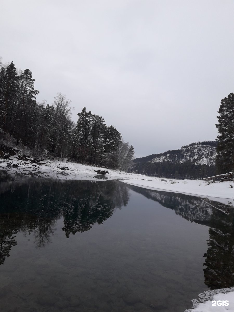 Лисья нора - фото 8