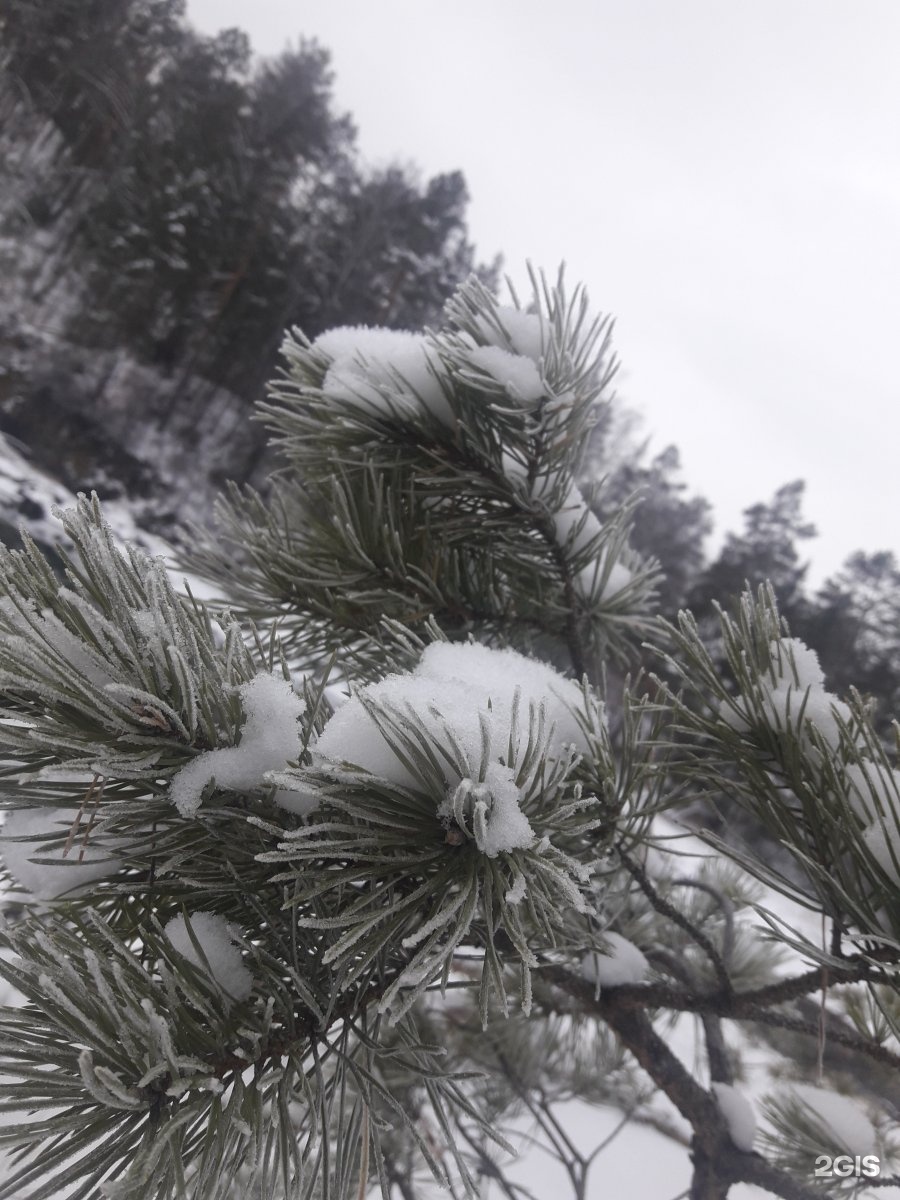 Лисья нора - фото 16