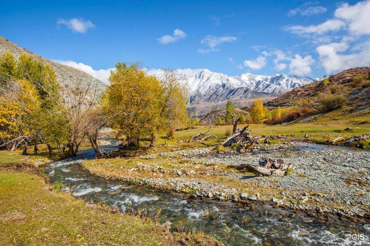 Инегень - фото 43