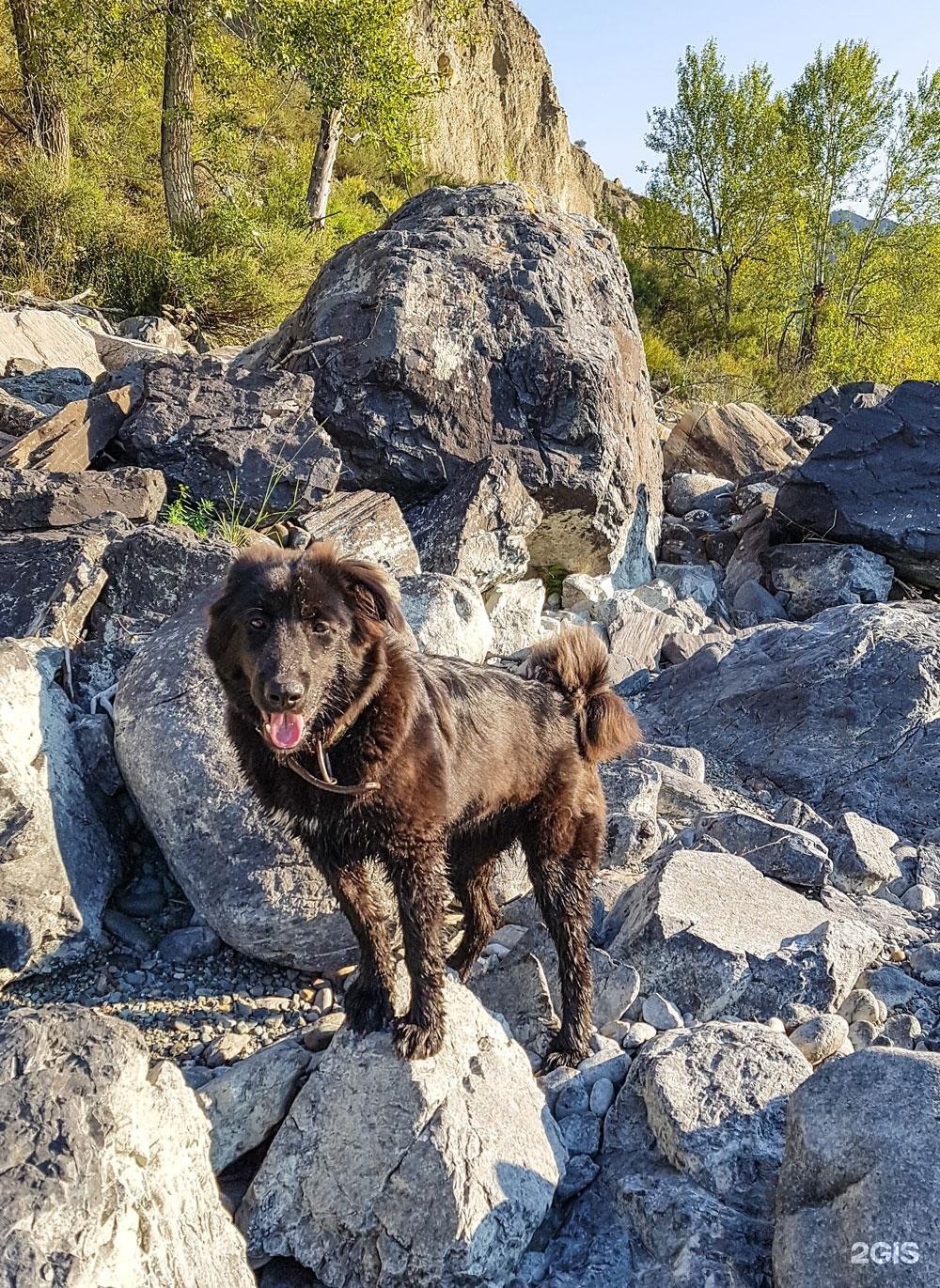 Инегень - фото 81