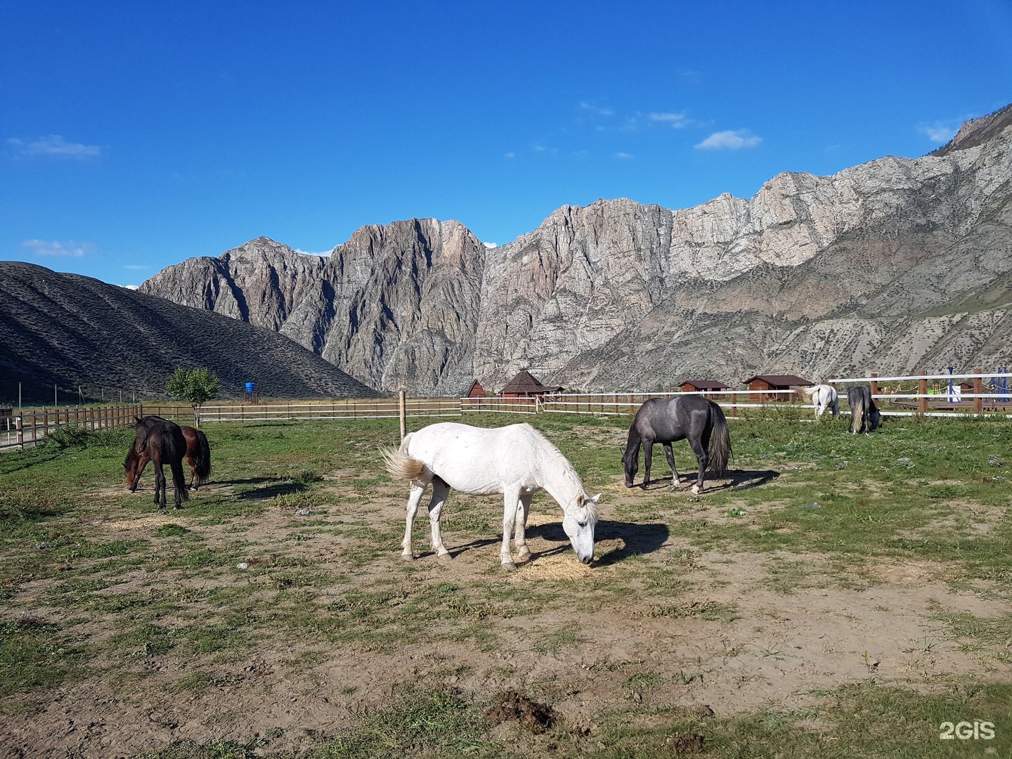 Инегень - фото 87