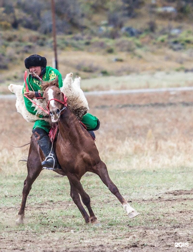 Инегень - фото 91