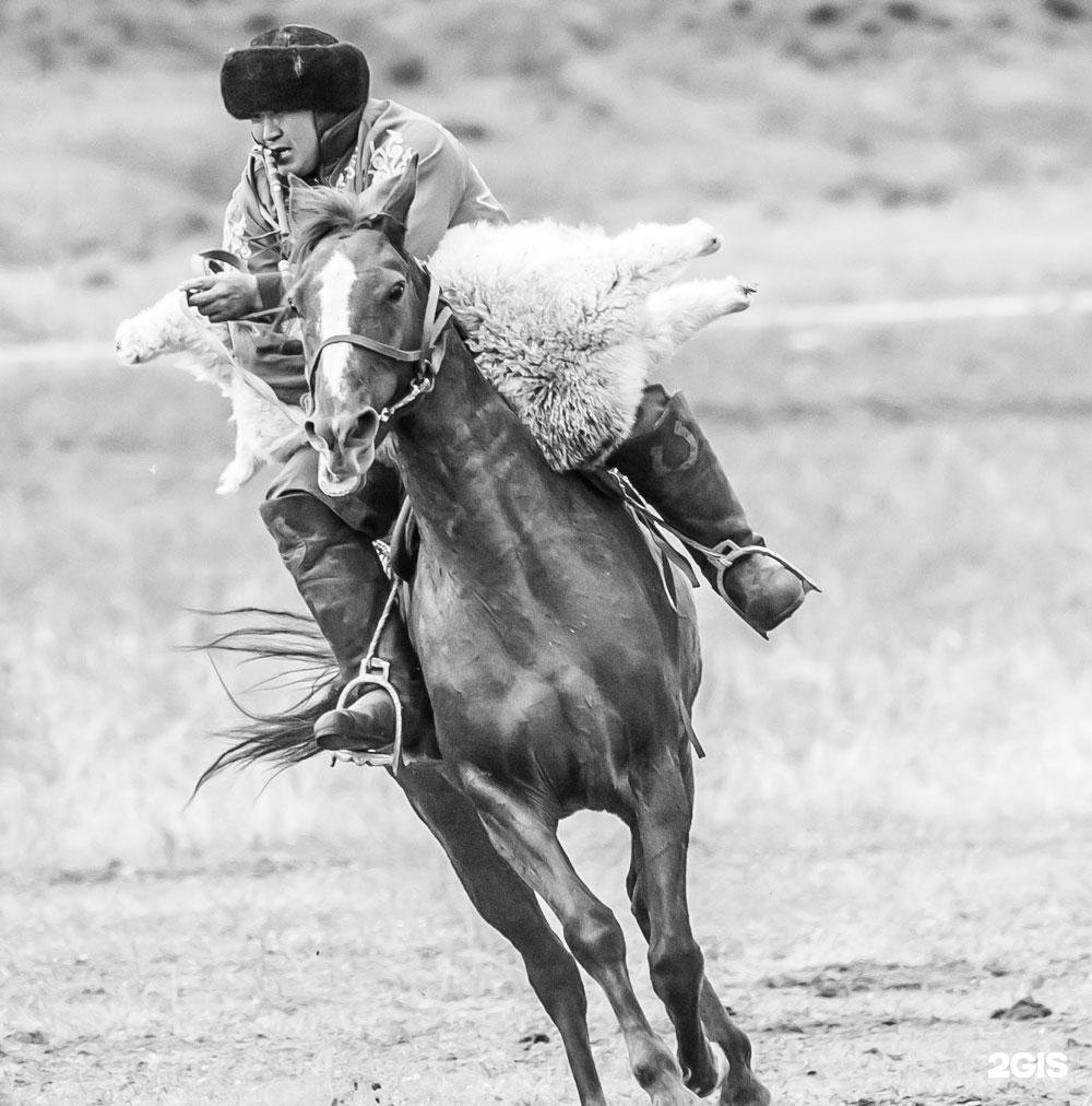 Инегень - фото 96