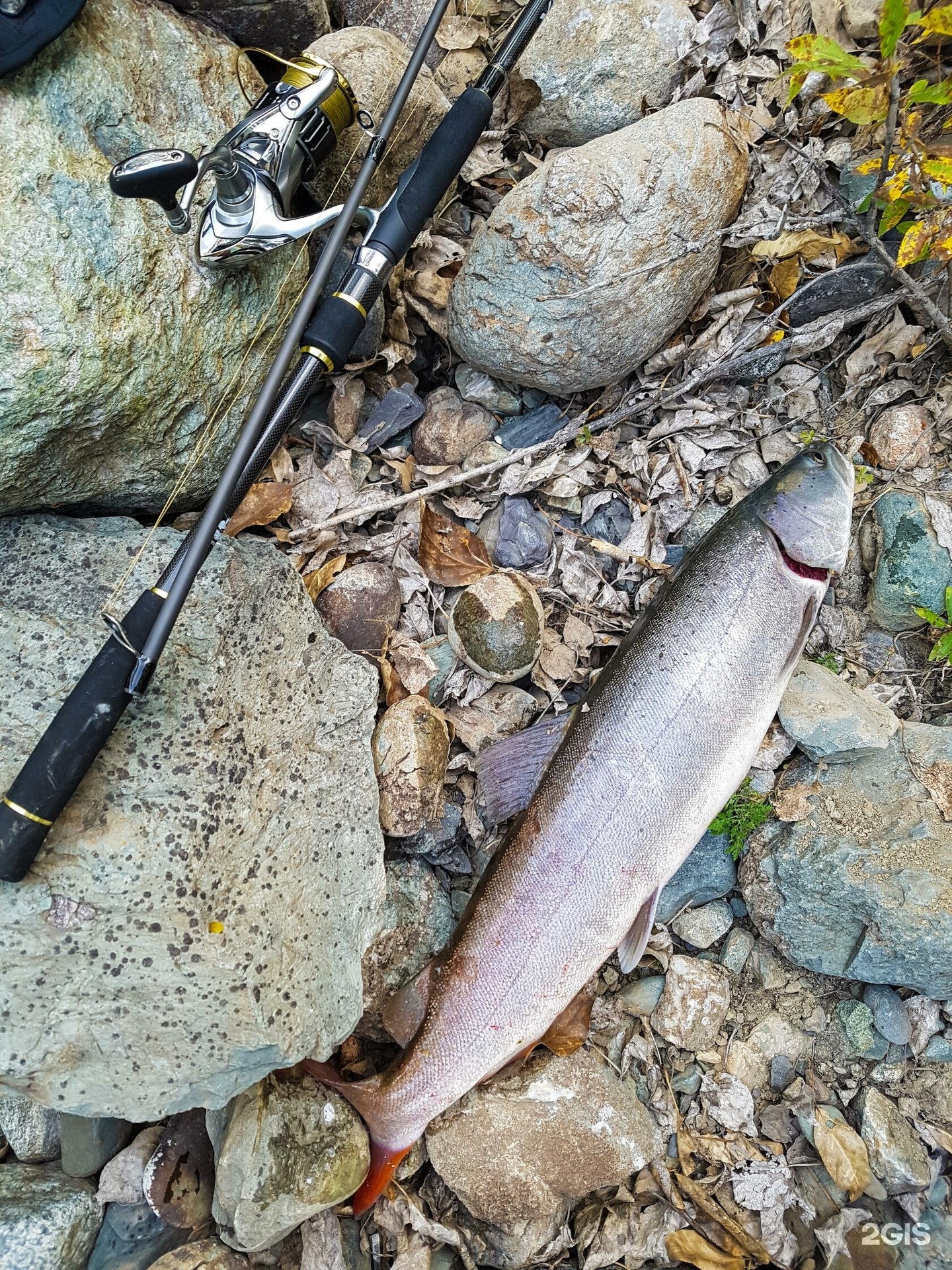 Инегень - фото 107