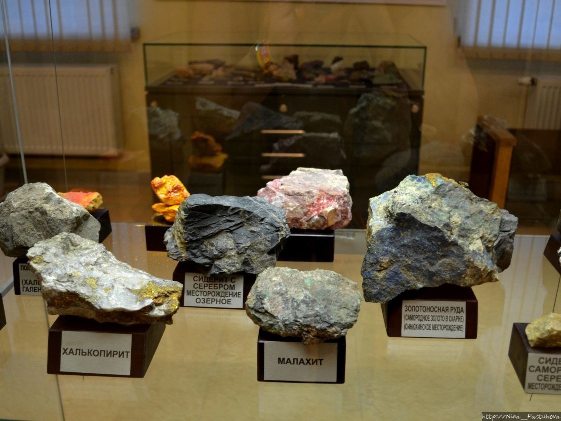 Национальный музей Республики Алтай имени А.В. Анохина - фото 6