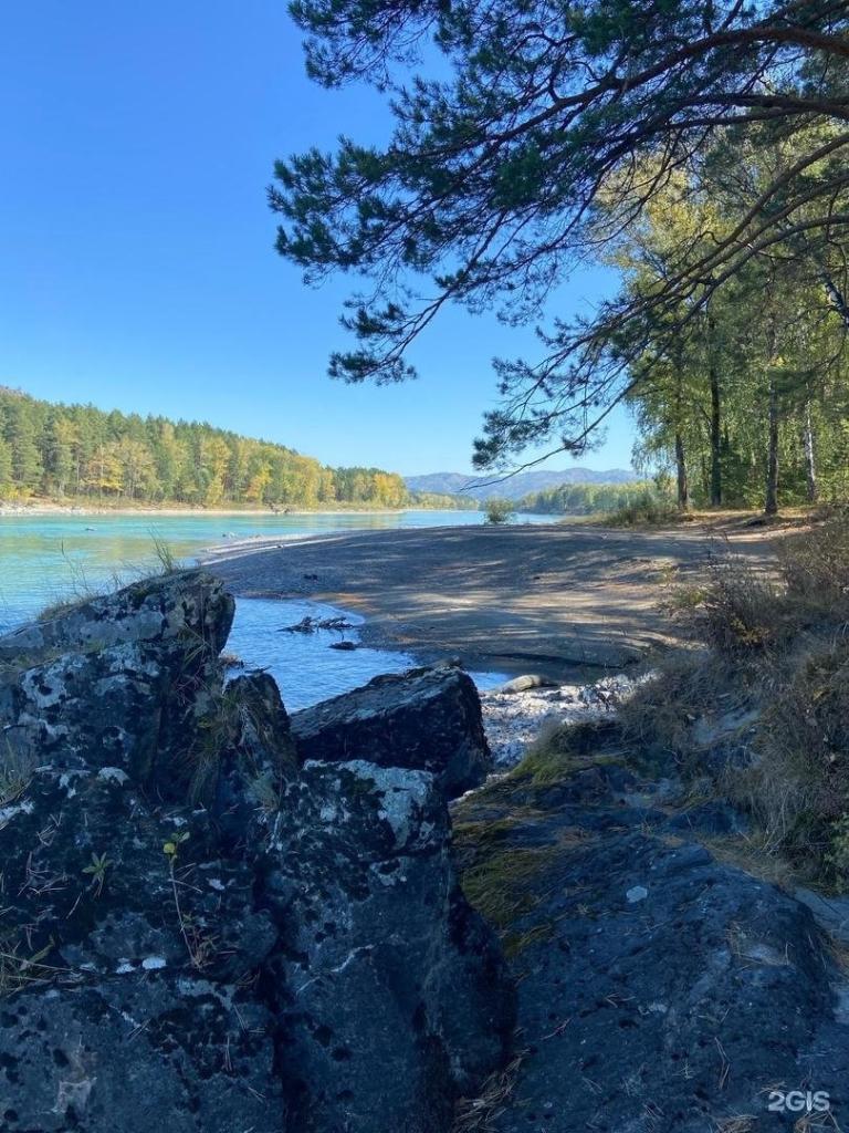 Altay Sun - фото 4