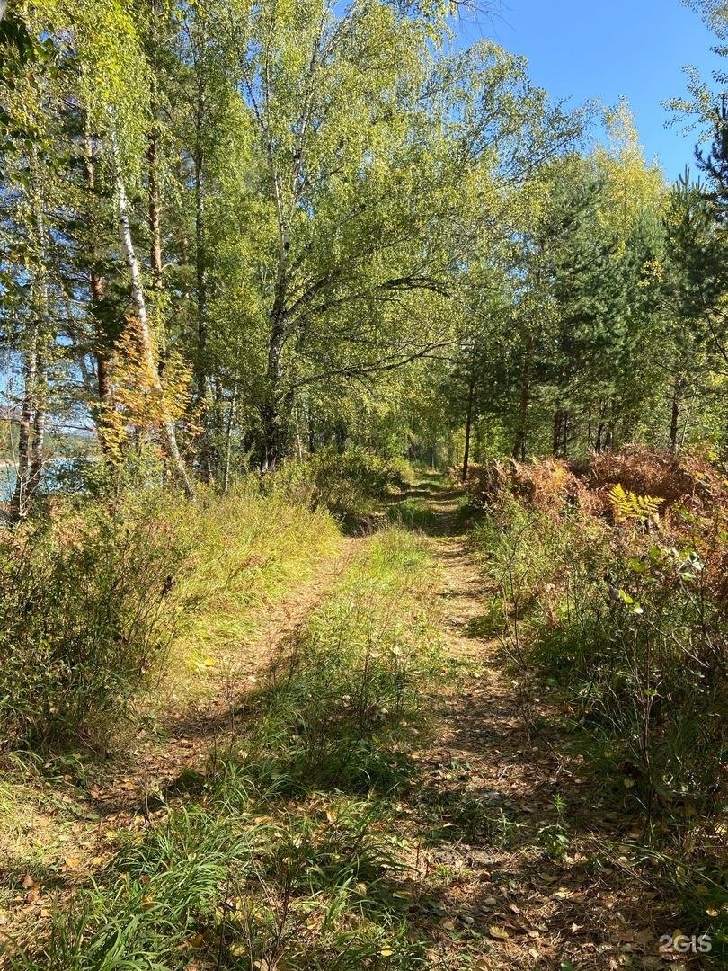 Altay Sun - фото 6