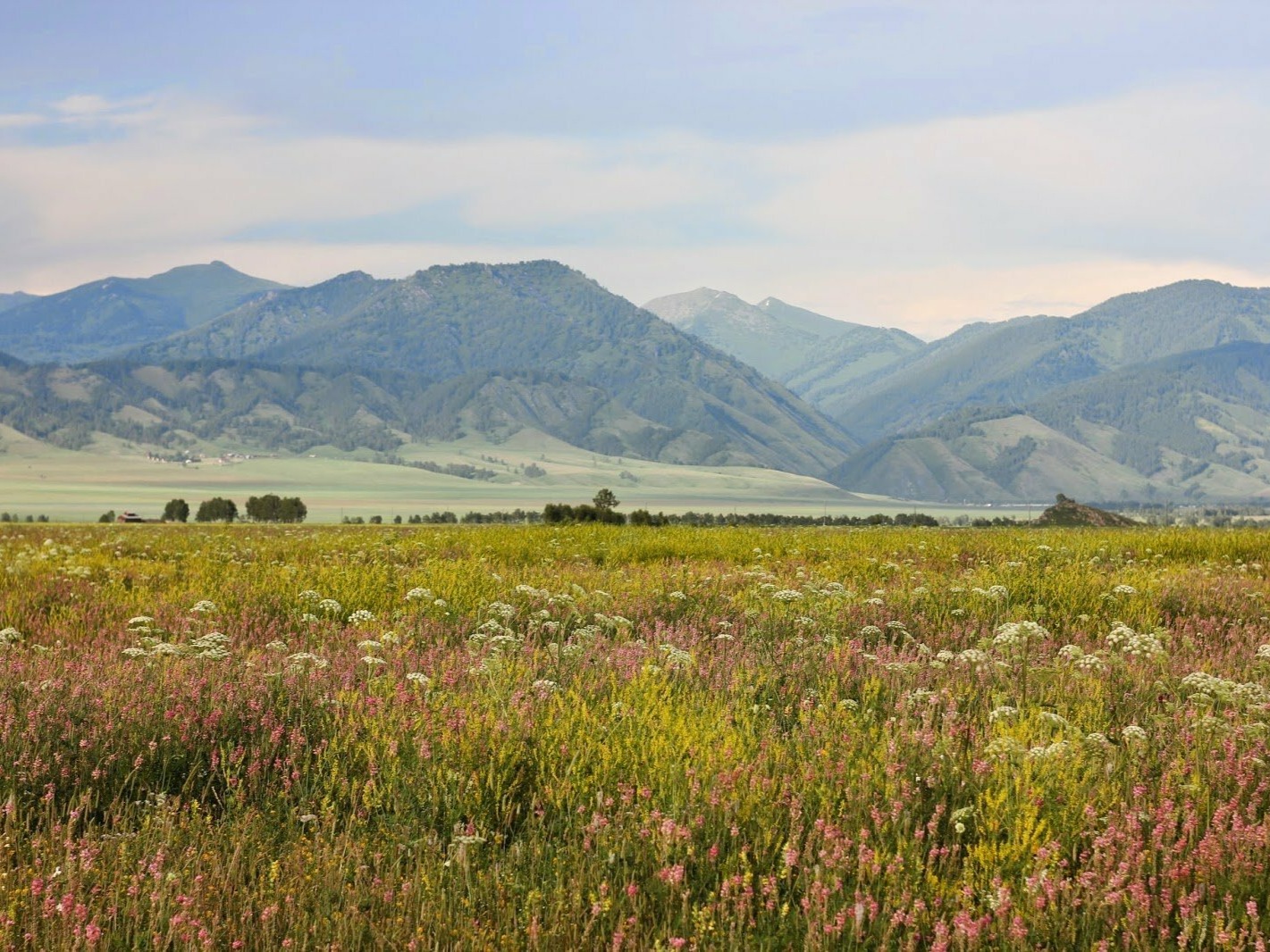 Уймонская степь - фото 2