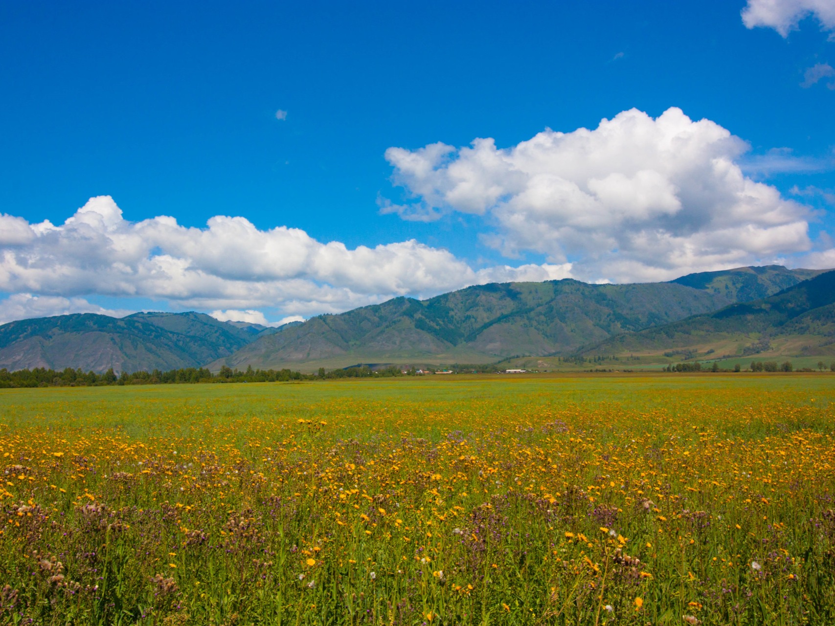 Уймонская степь - фото 3