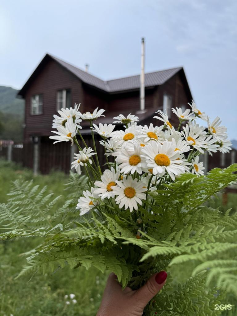 Райская усадьба - фото 8