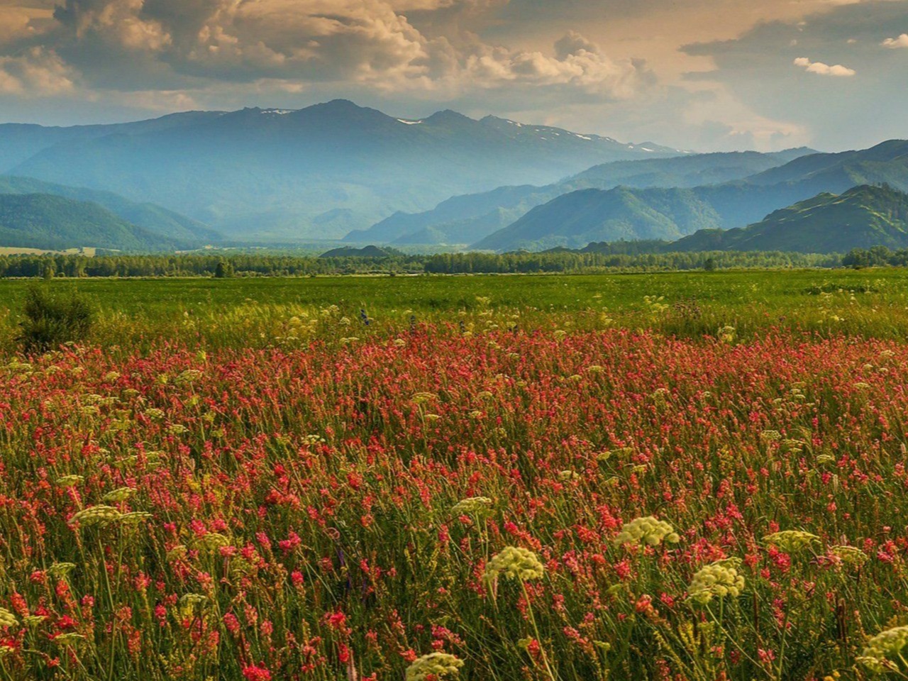 Уймонская степь - фото 1