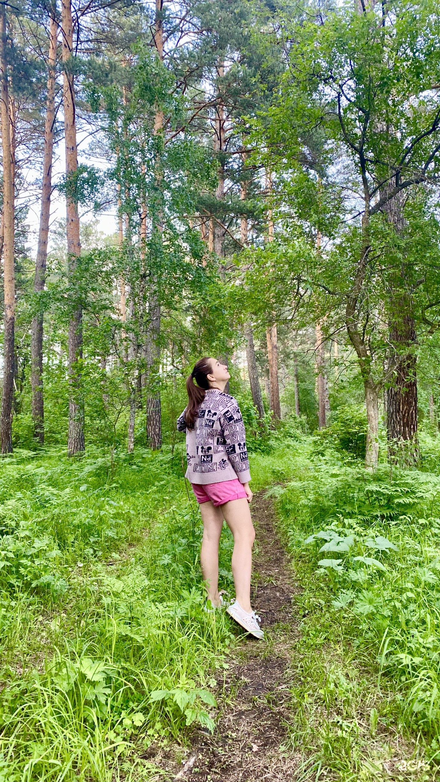 Райская усадьба - фото 67