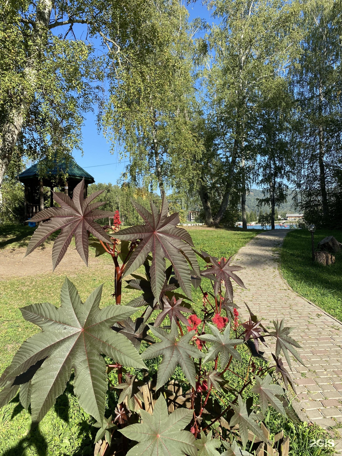 Глобус - фото 20