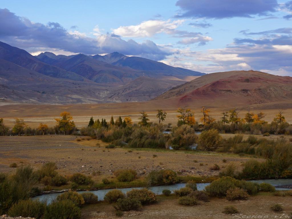 Чуйская степь - фото 6