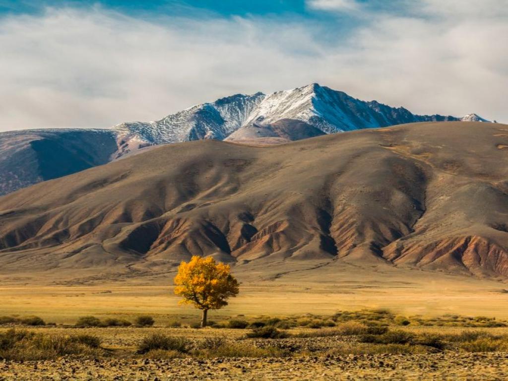 Чуйская степь - фото 7