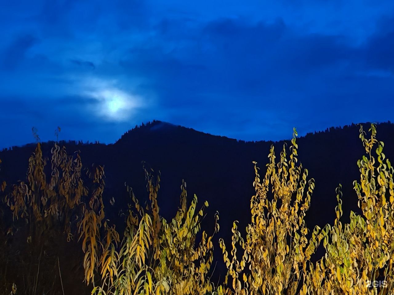 Золотая бухта - фото 3