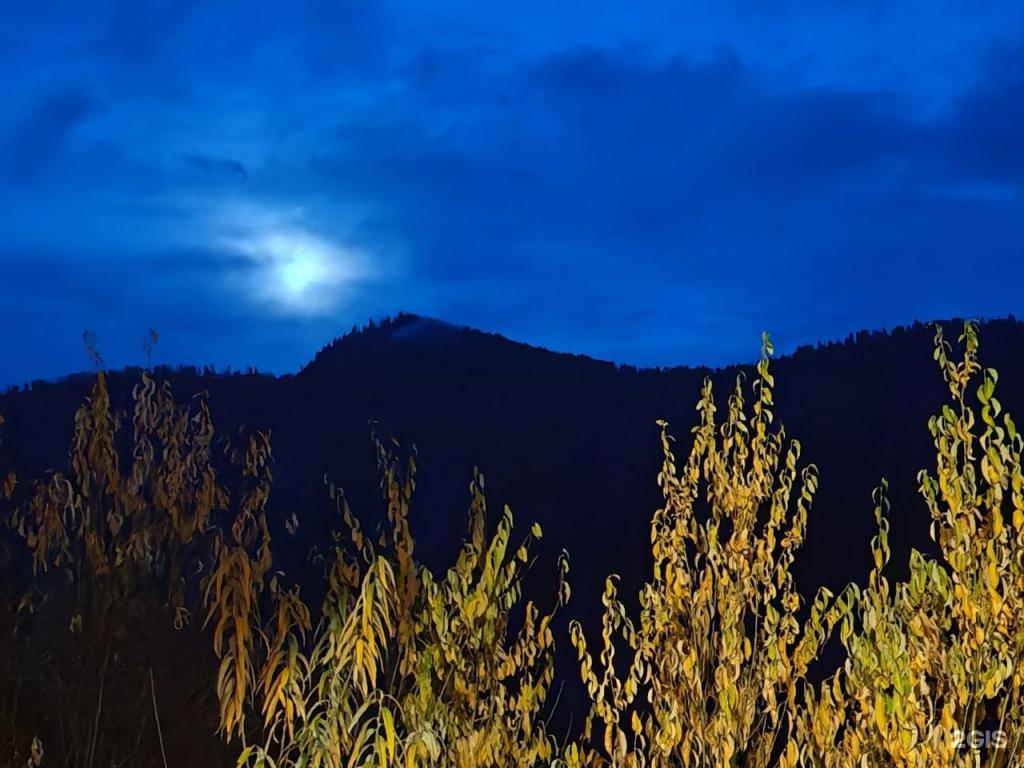 Золотая бухта - фото 3