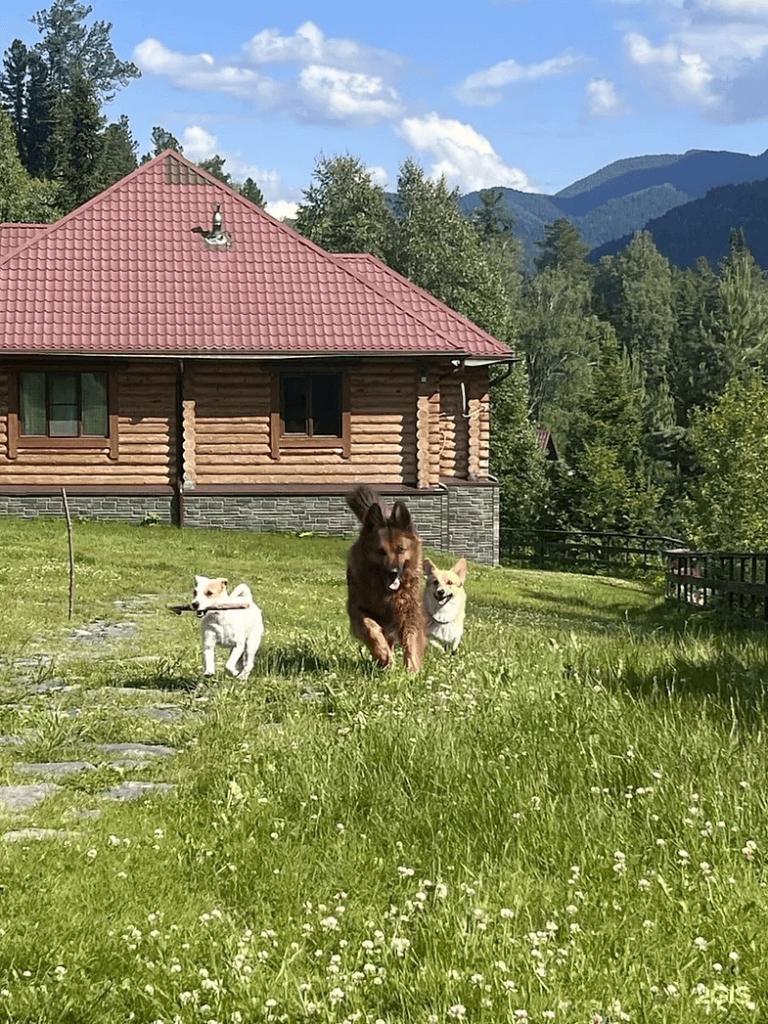 Золотая бухта - фото 6