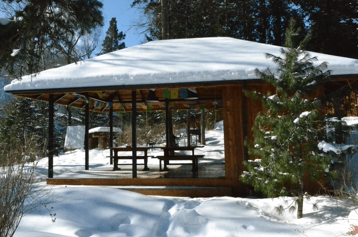 Золотая бухта - фото 34