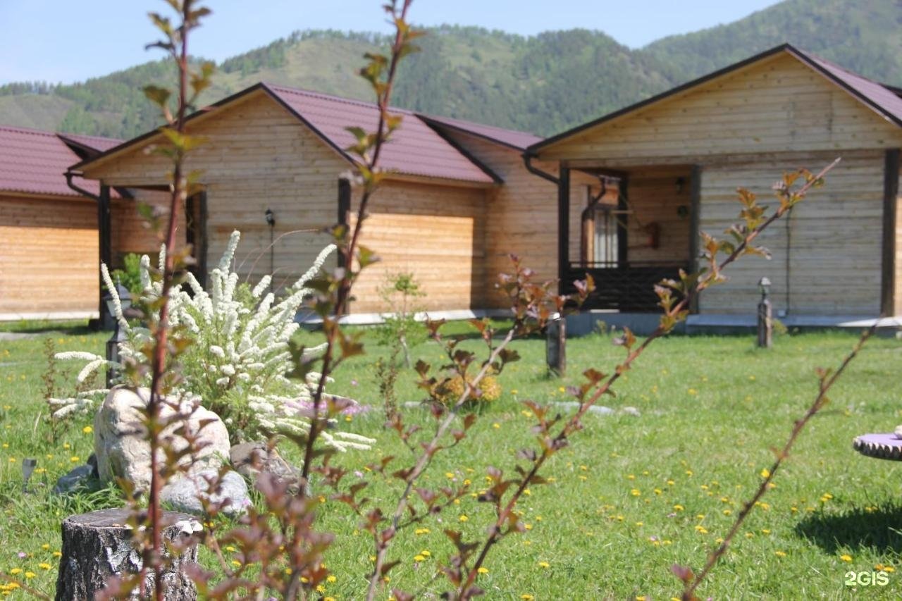 Алтай Рай - фото 35