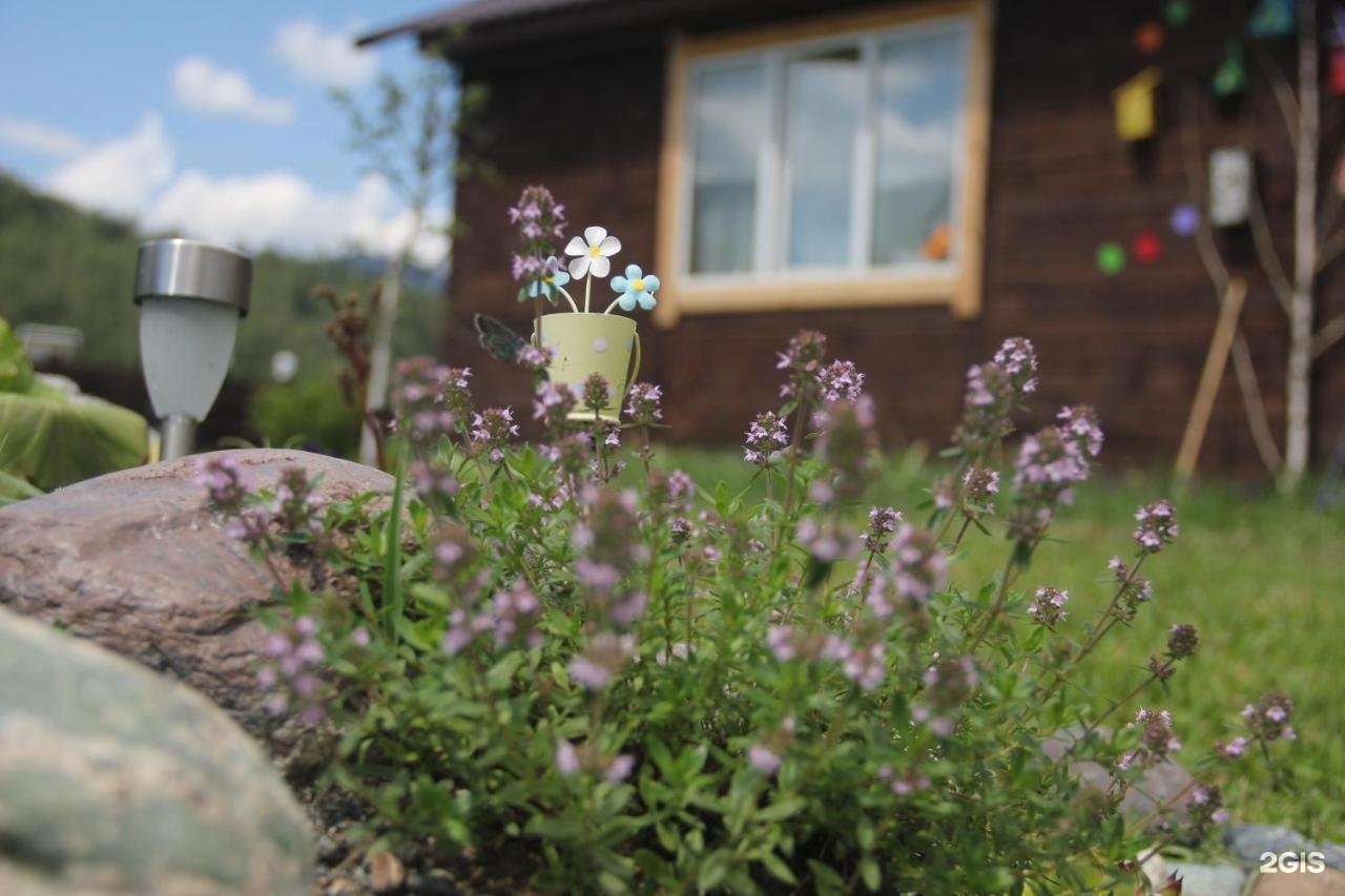 Алтай Рай - фото 51