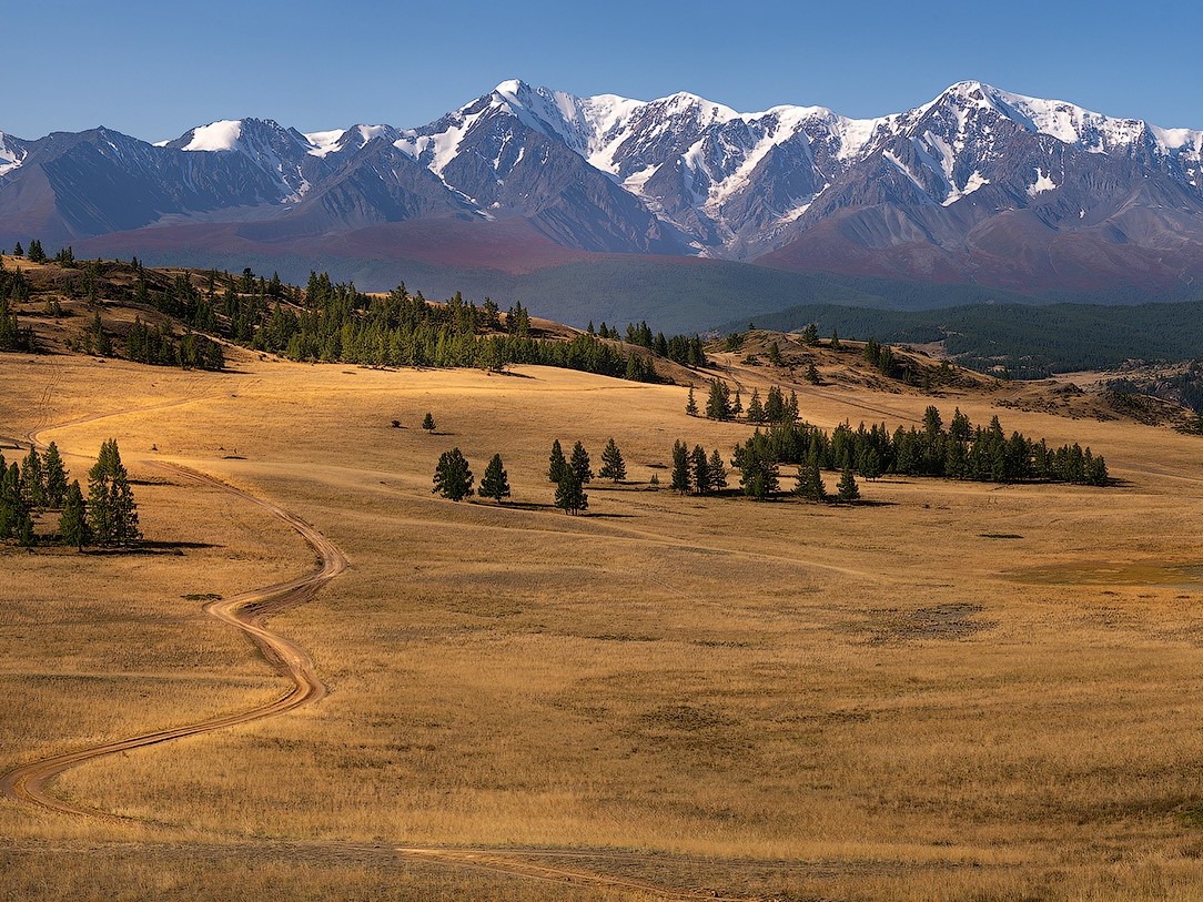 Северо-Чуйский хребет - фото 2