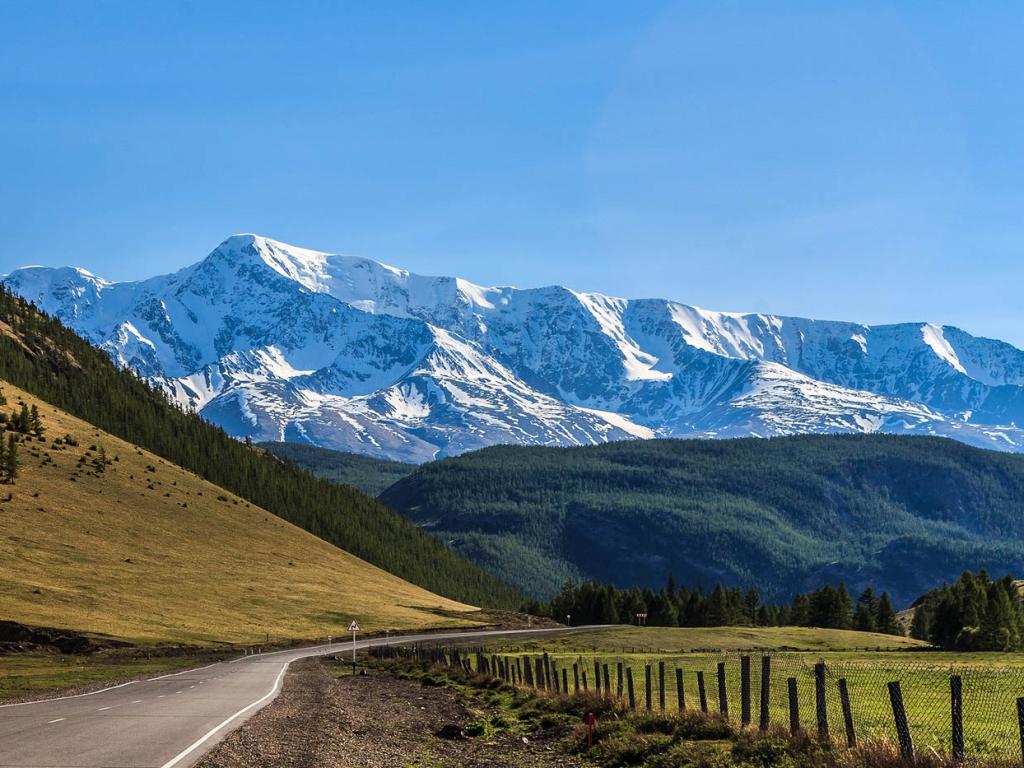 Северо-Чуйский хребет - фото 4