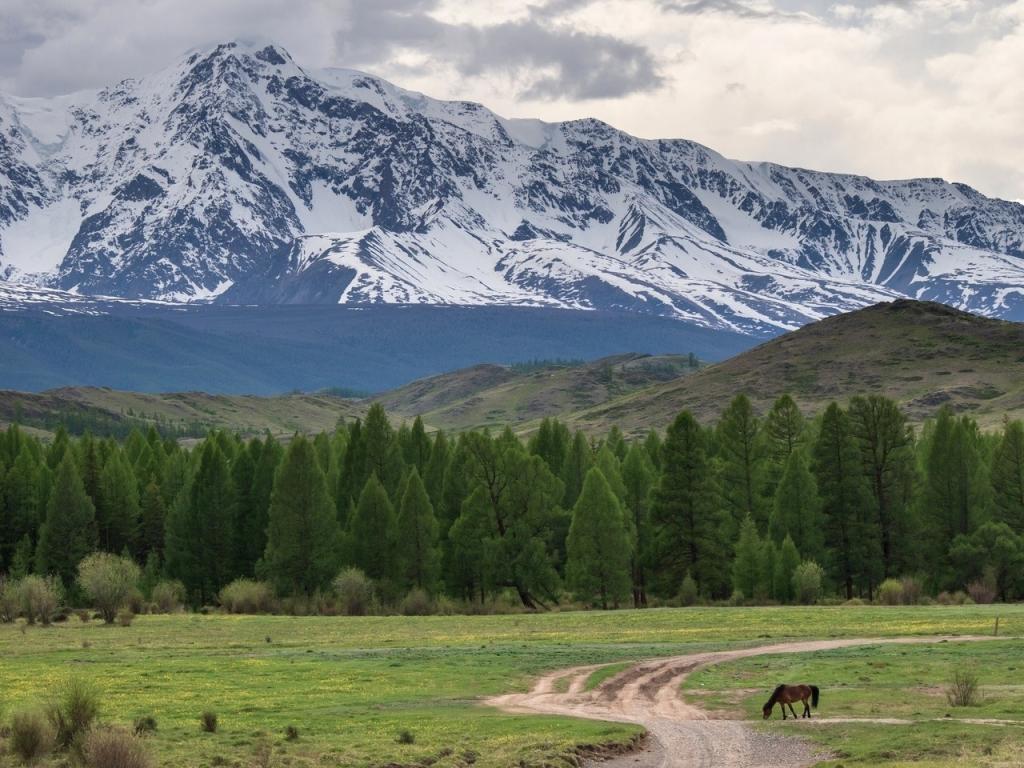 Северо-Чуйский хребет - фото 6