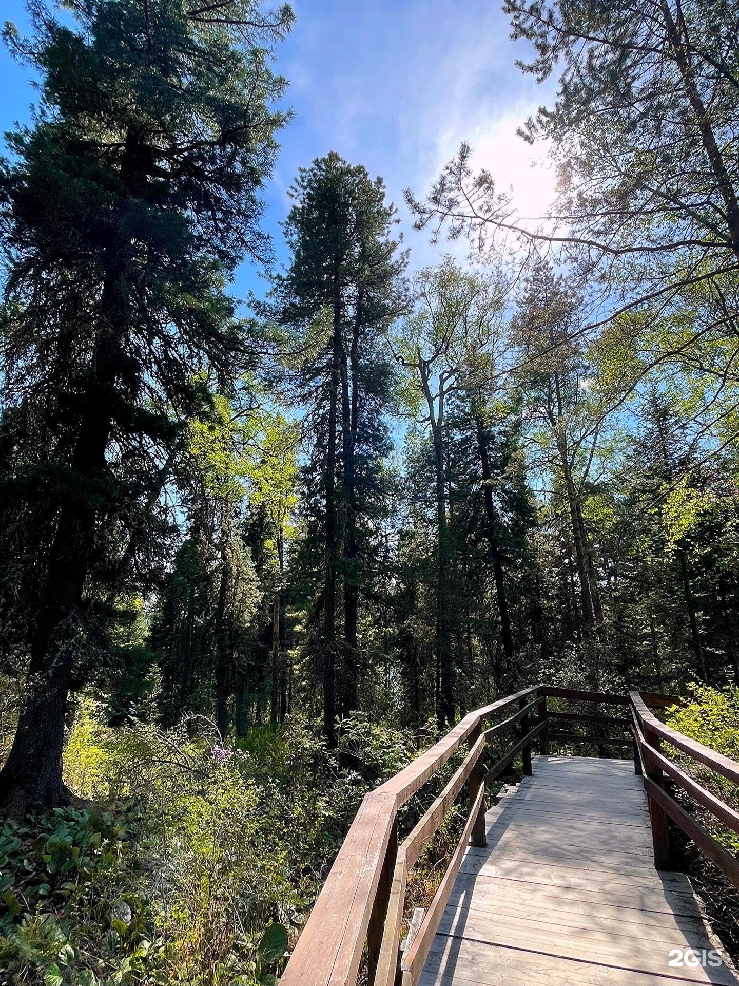 Манул-Кел - фото 25