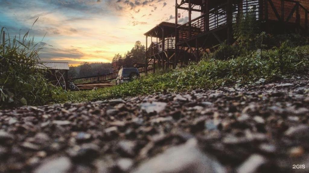 Вереск - фото 1