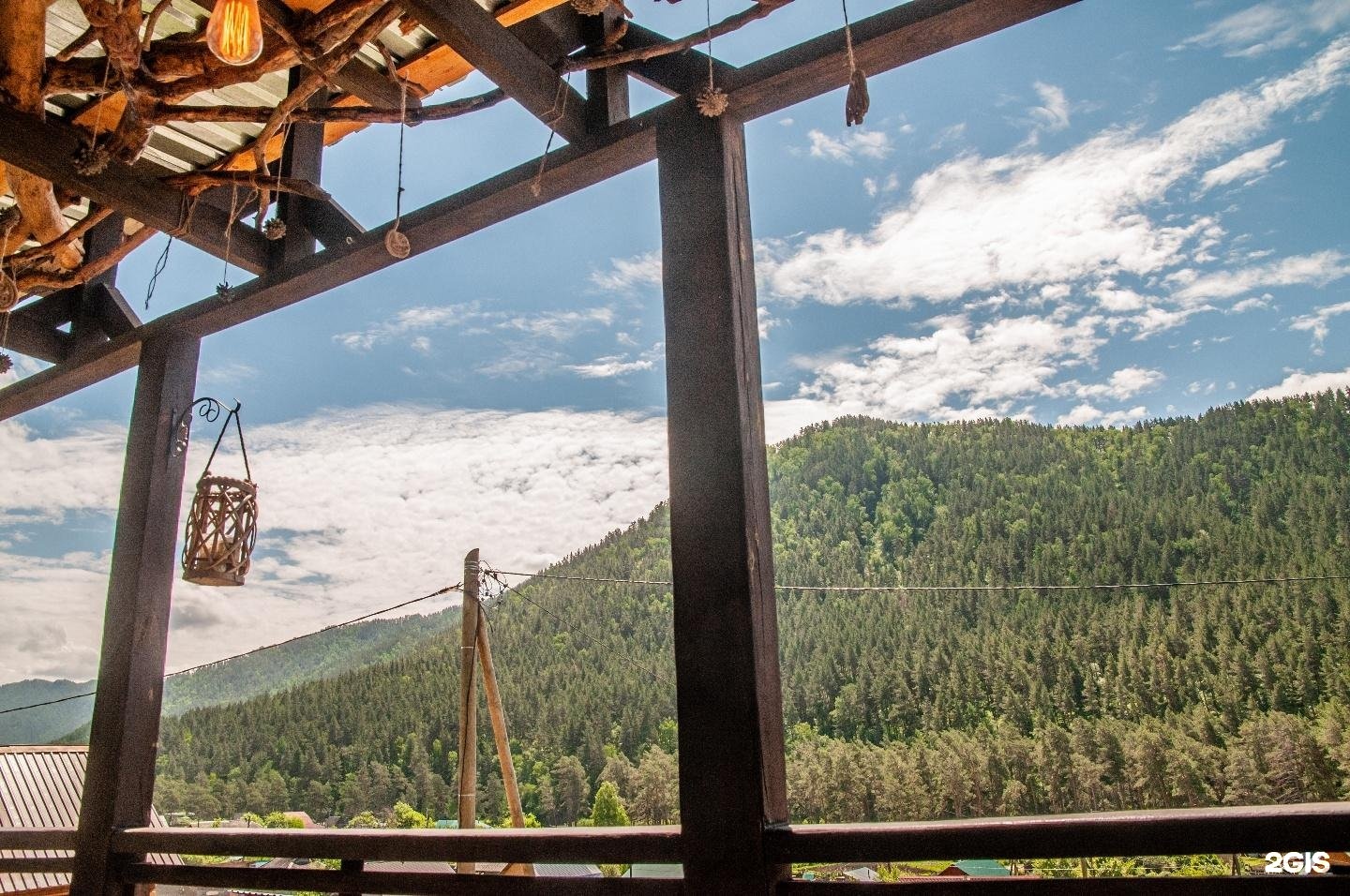 Вереск - фото 8