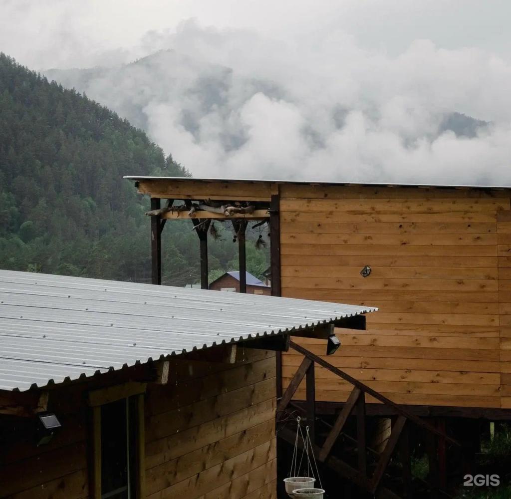 Вереск - фото 9