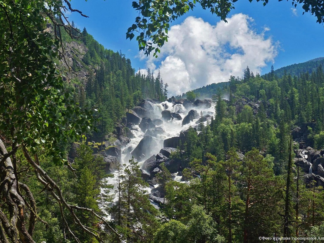 Алтайский биосферный заповедник - фото 4