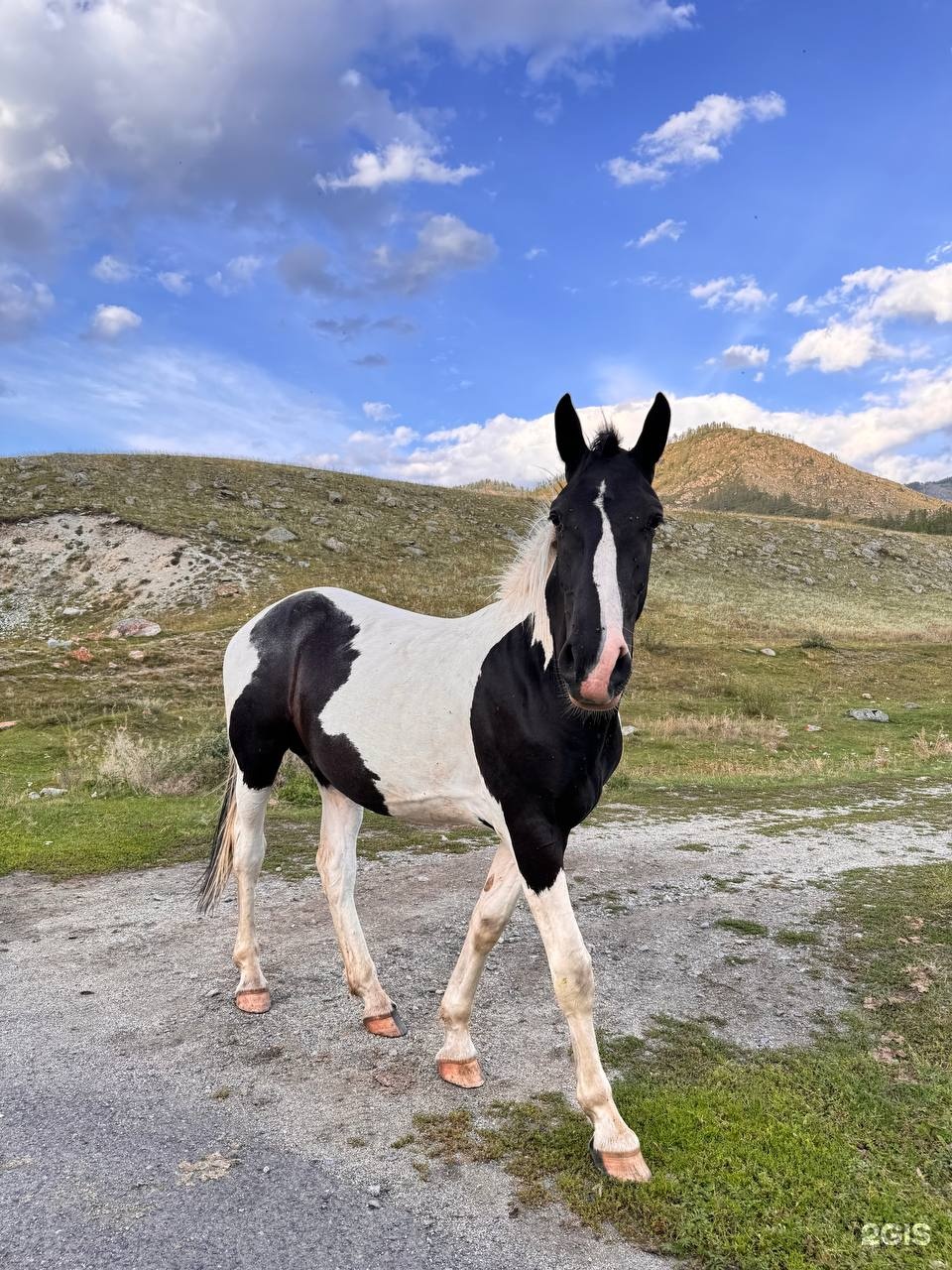 Ильгумень - фото 29
