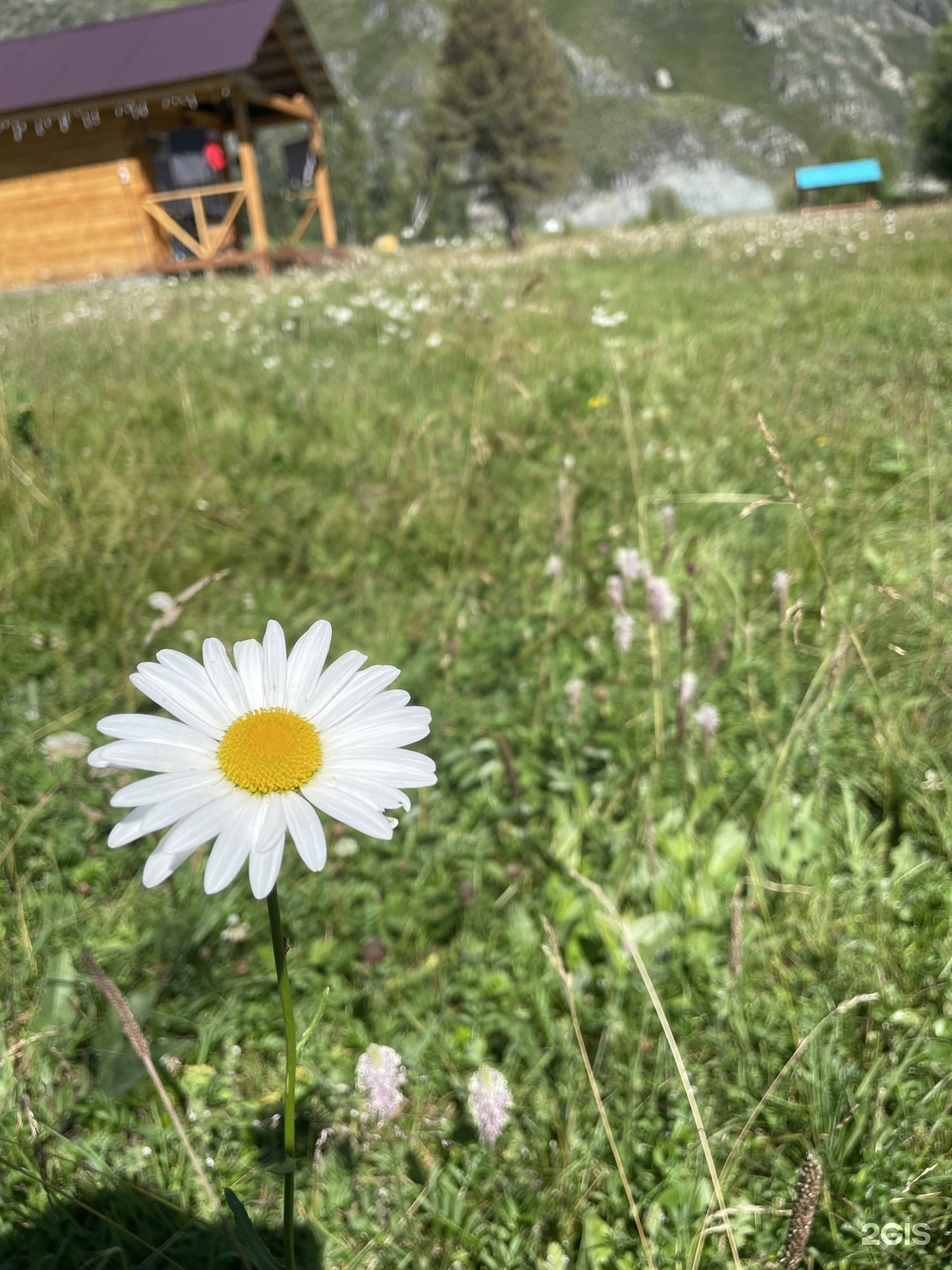 Ильгумень - фото 39