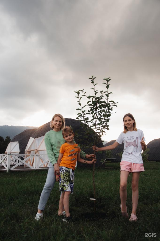 Место Силы - фото 5