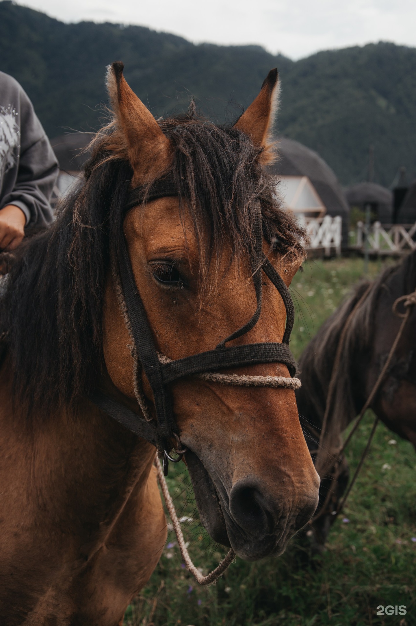 Место Силы - фото 15