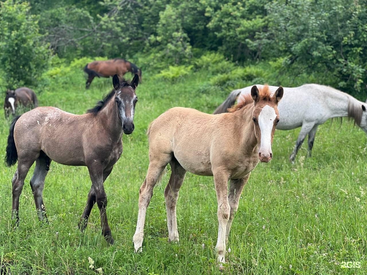 Место Силы - фото 25