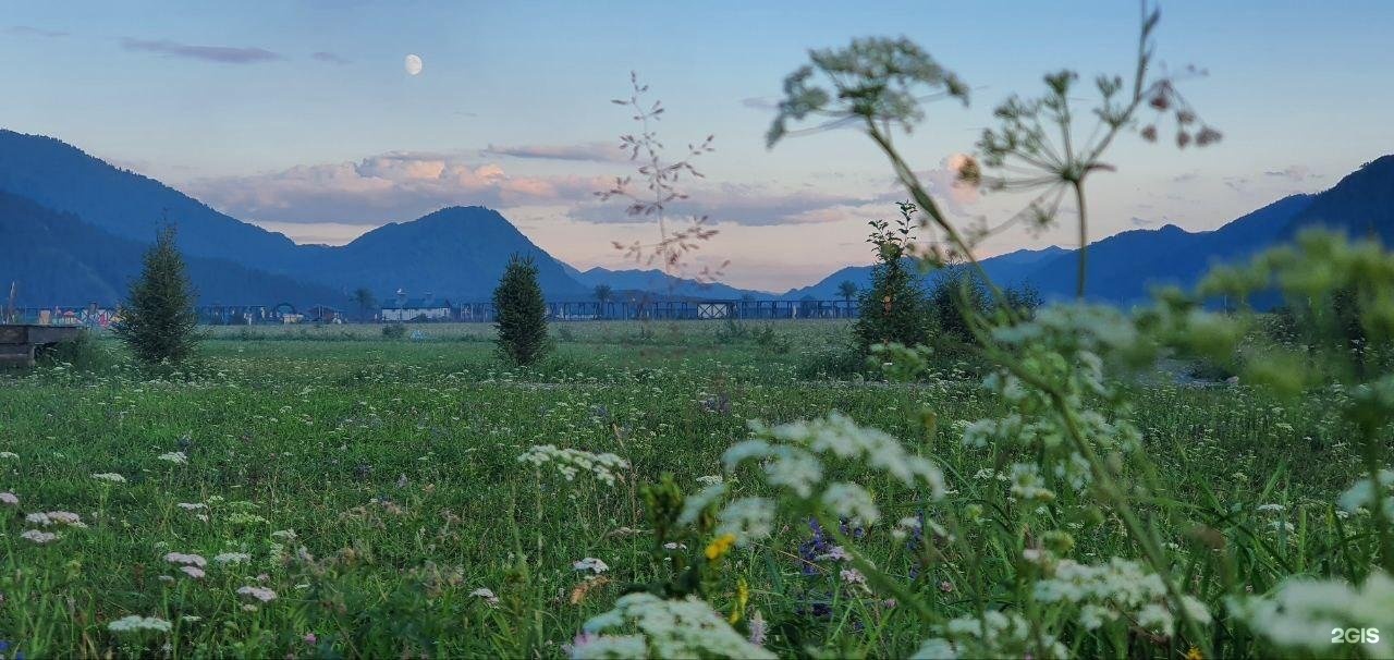 Место Силы - фото 49