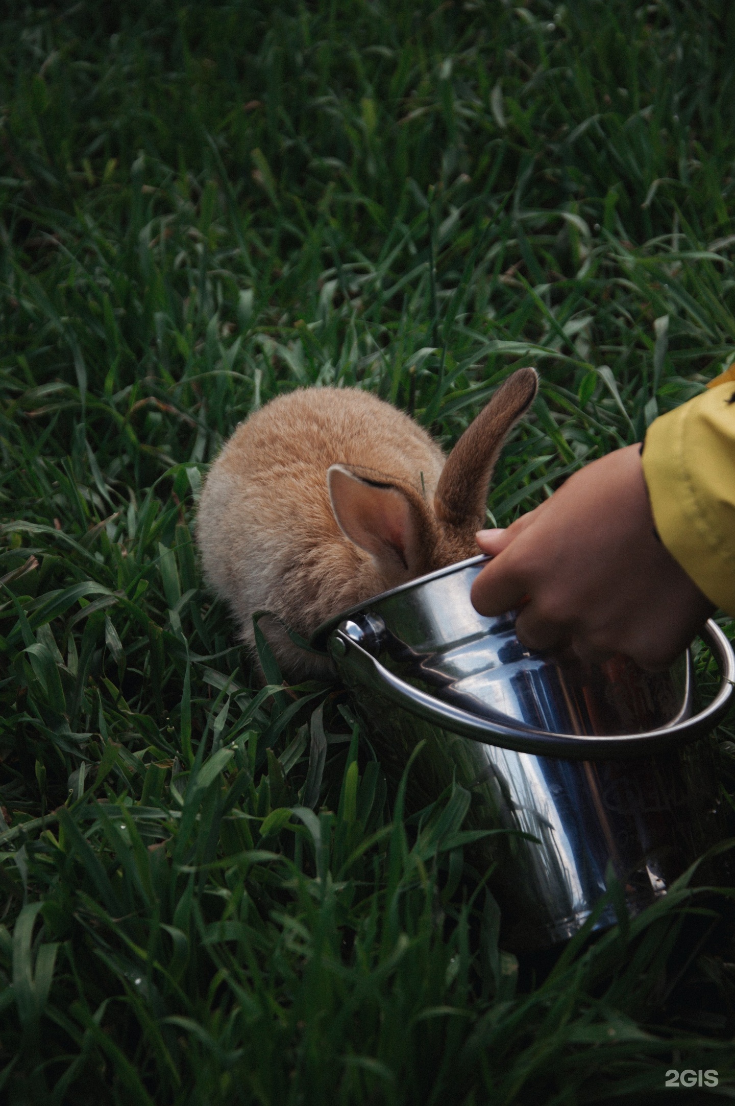 Место Силы - фото 96